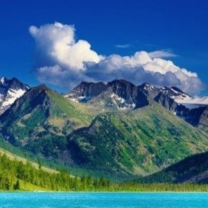 Meet your Posher, Allen